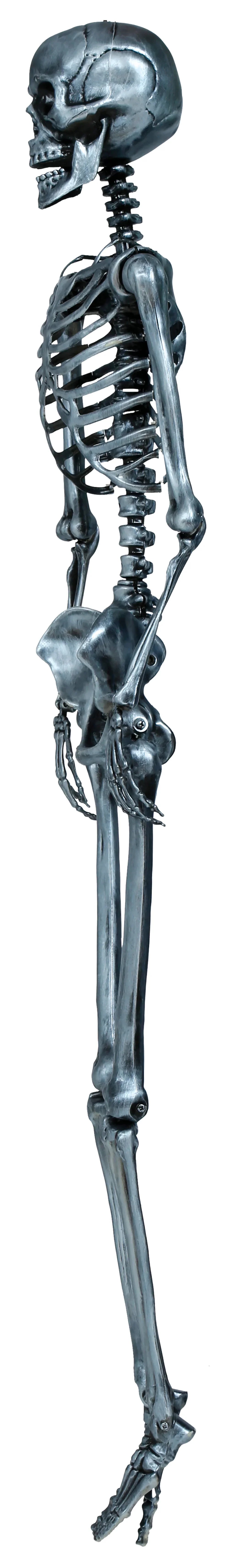Esqueleto Plateado para Decoración de 160cm Esqueletos Guirca