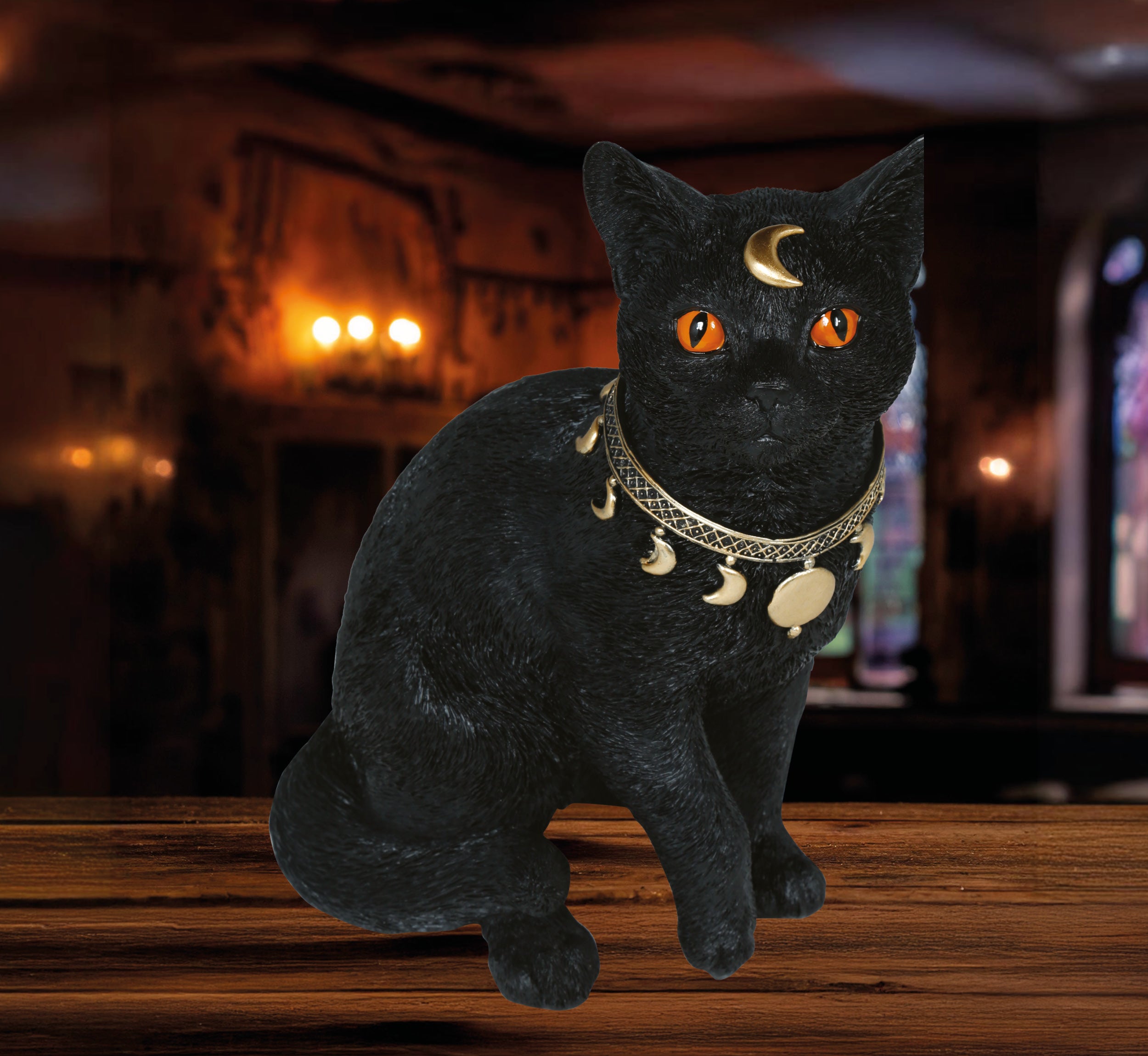 Gato Preto de Bruxa para Decoração de Halloween