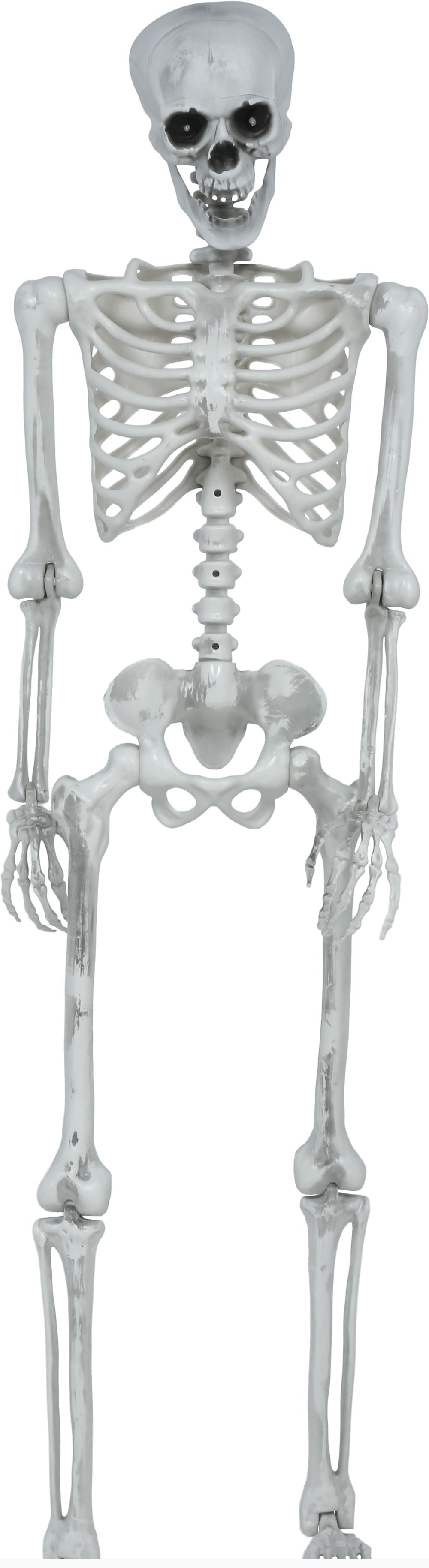 Esqueleto de Decoración Articulado de 145cm