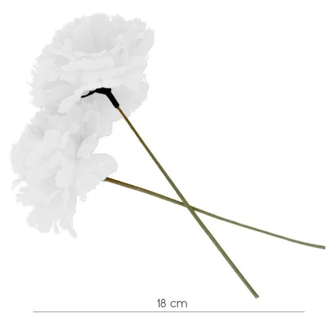 Clavel Blanco con Tallo Flores Partilandia