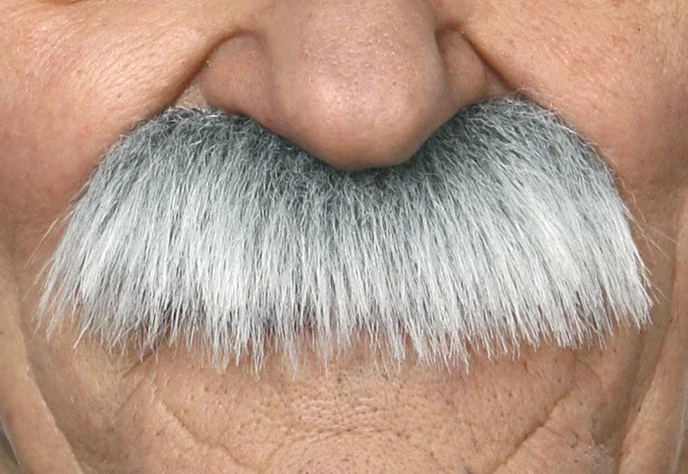 Bigote Canoso Barbas y Bigotes Viving