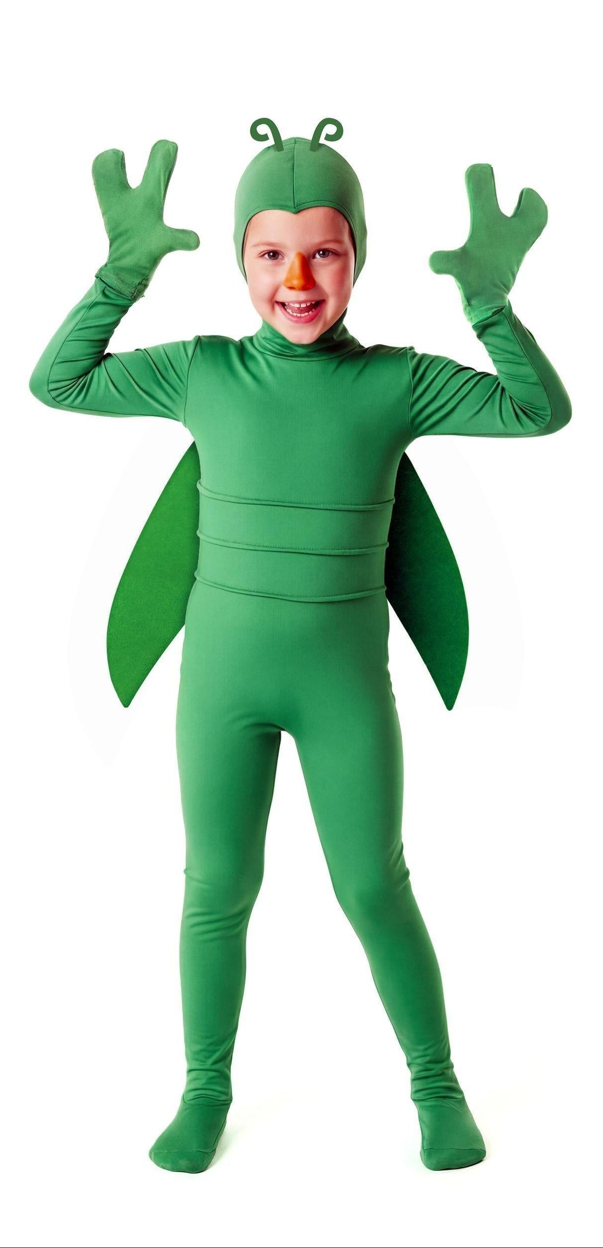 Fato Gafanhoto Verde para Menino